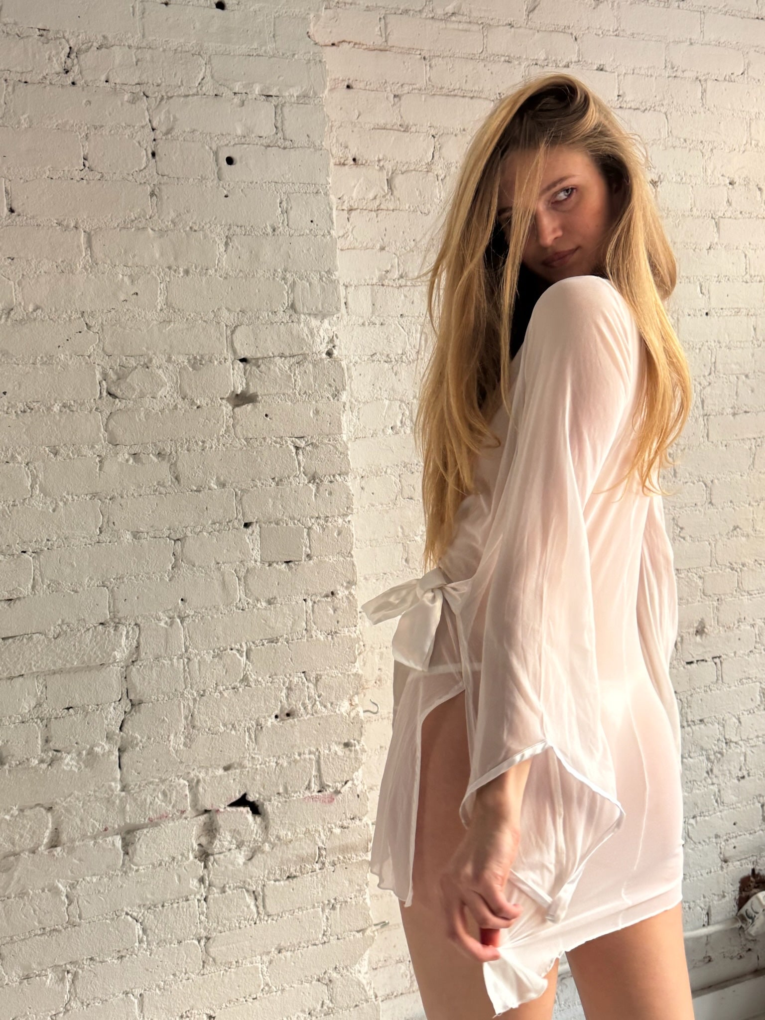 Vintage Sheer Bow Dress