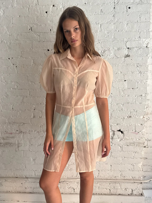 Vintage Pink Mesh Dress