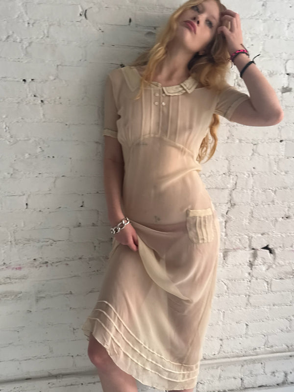 Vintage Sheer Dress