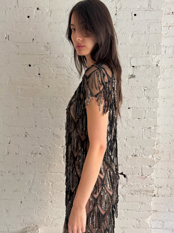 Vintage Fringe Dress