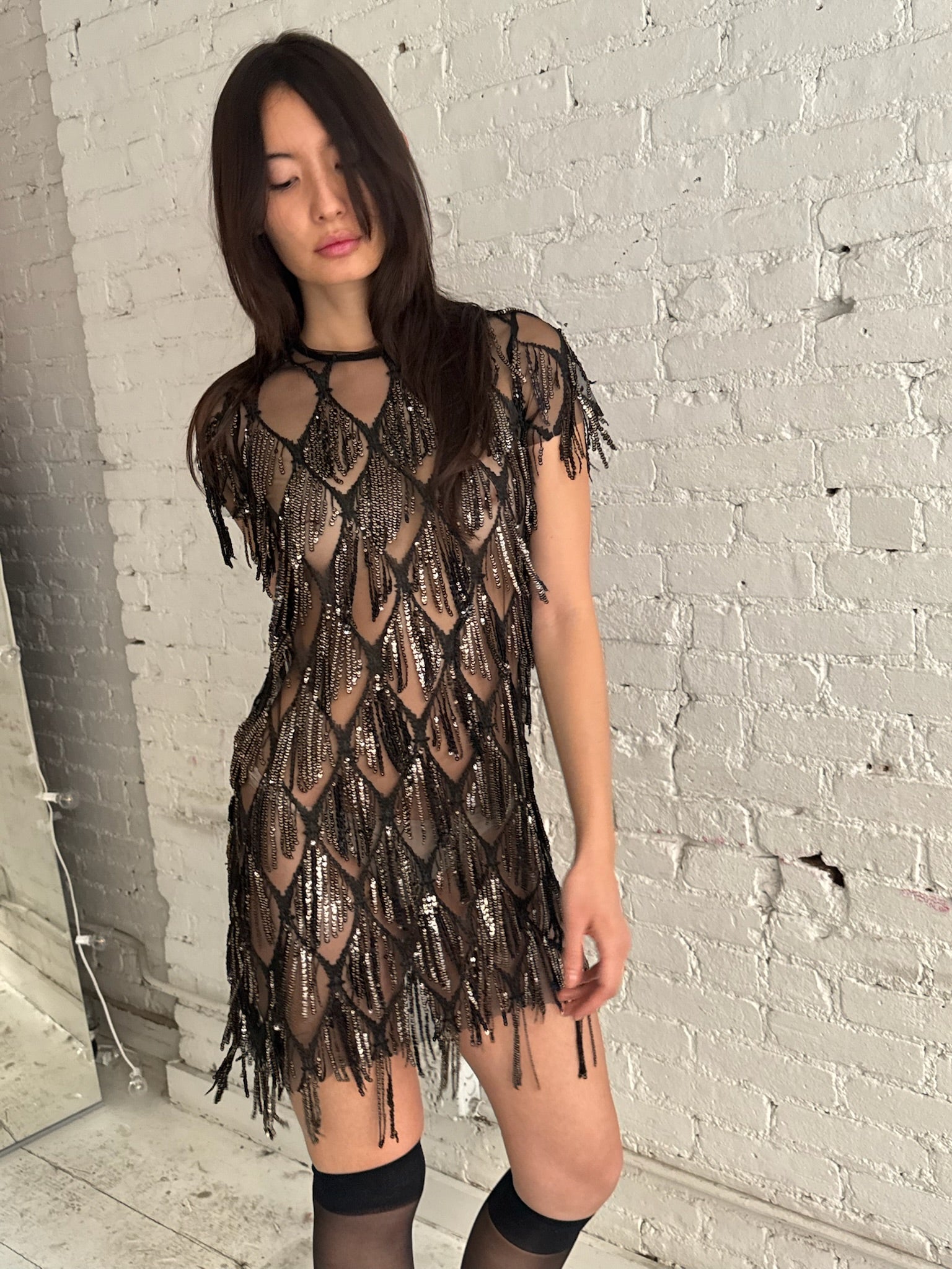 Vintage Fringe Dress